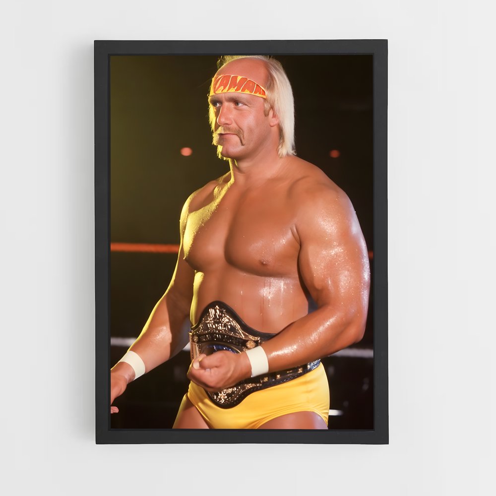 Poster Hulkamania en Action (vue 2)